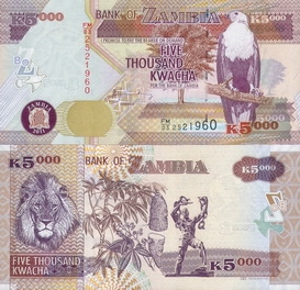������ 5000 ����� 2011 �.